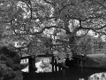DSC_2595.JPG
