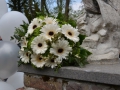 MBG_9520.JPG