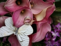 bIMG_1145