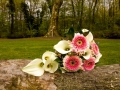 Stefan&Marije042817_173
