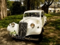 Stefan&Marije042817_23